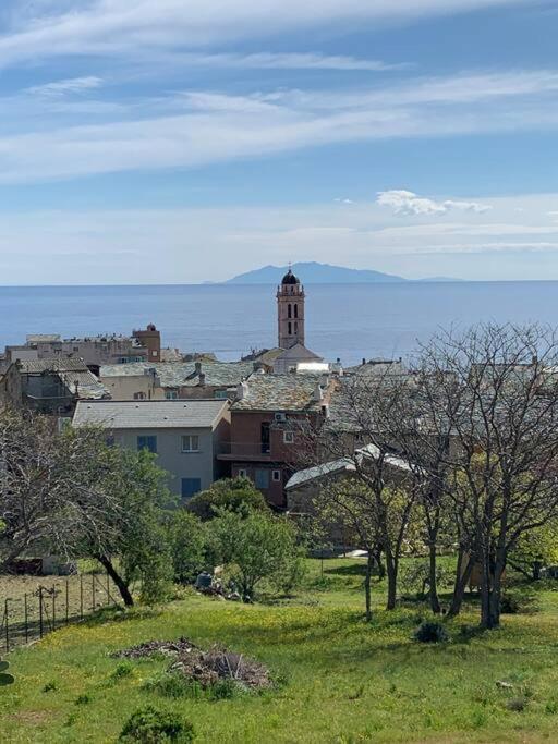 Magnifique Maison Avec Vue Mer Hauteur De Bastia Bastia  Buitenkant foto